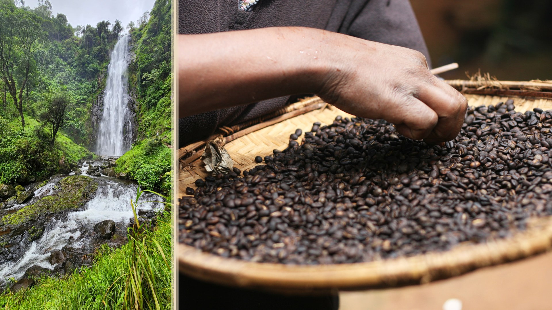 Materuni Waterfall & Coffee Farm